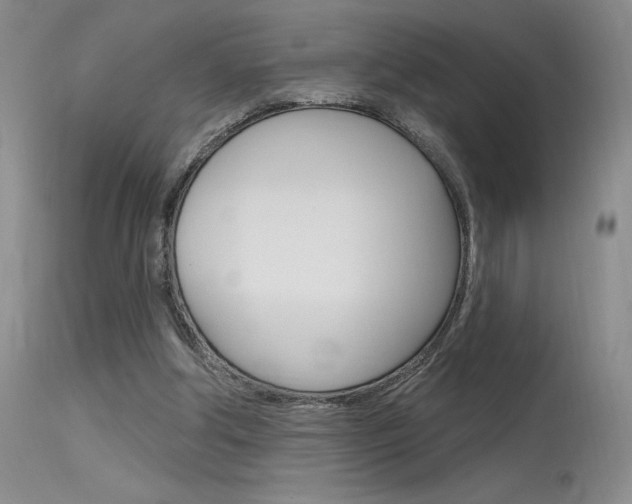 X0000115730202200911121133