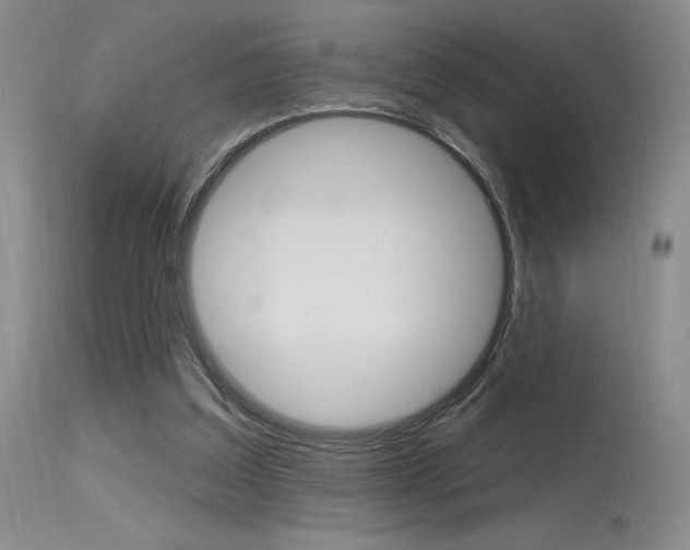 X0000115730203200911121133