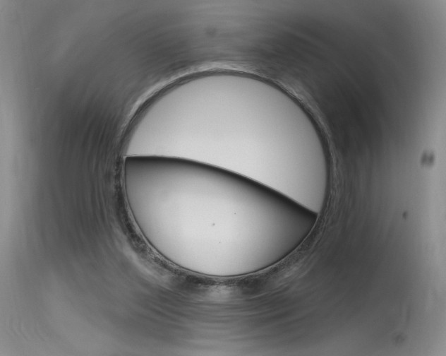 X0000115730204200911121133