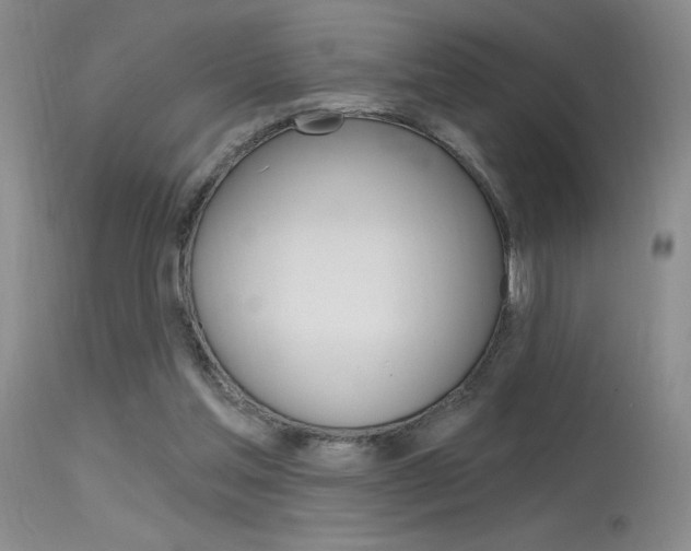 X0000115730205200911121133