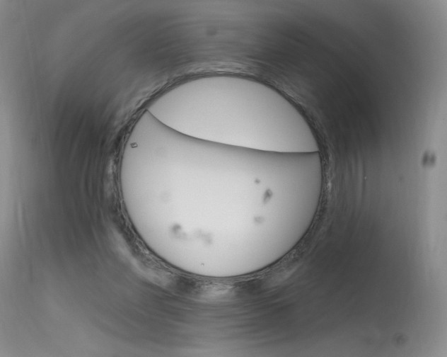 X0000115730206200911121133