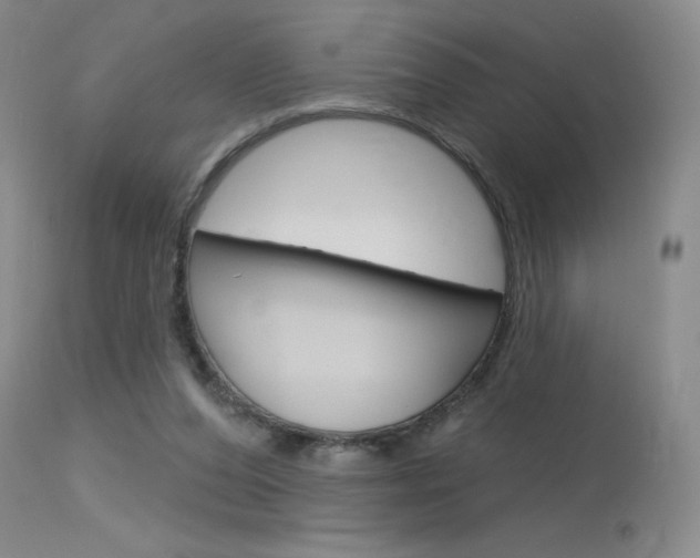 X0000115730208200911121133