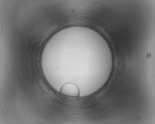X0000115730209200911121133