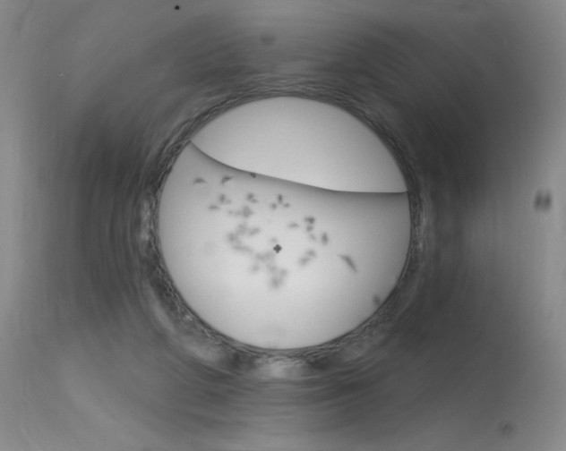 X0000115730210200911121133
