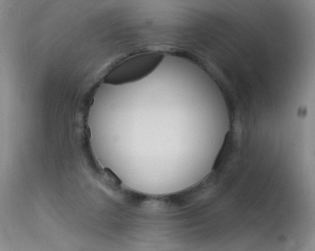 X0000115730211200911121133