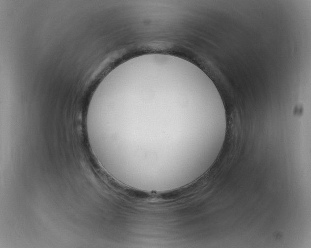 X0000115730212200911121133