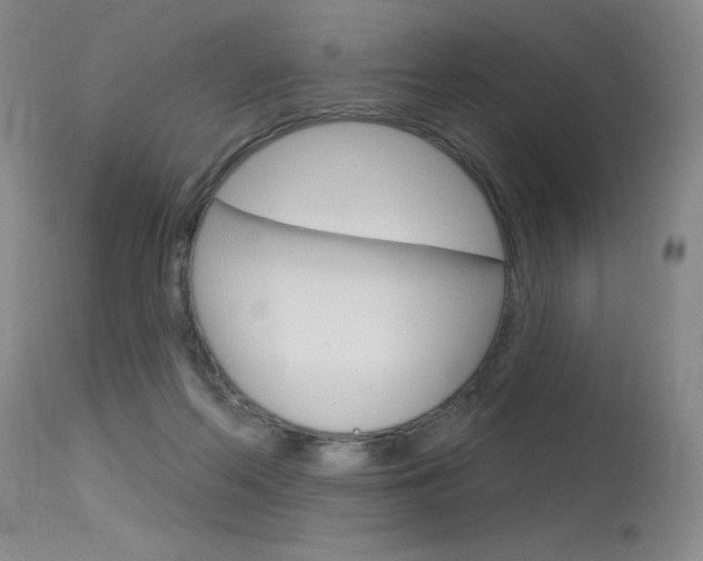 X0000115730214200911121133