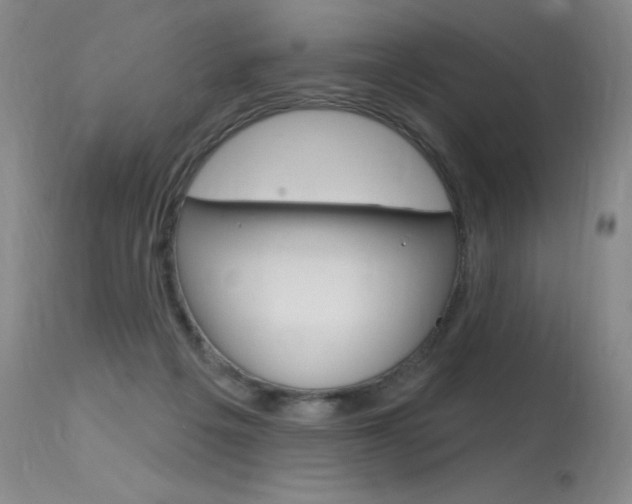 X0000115730217200911121133