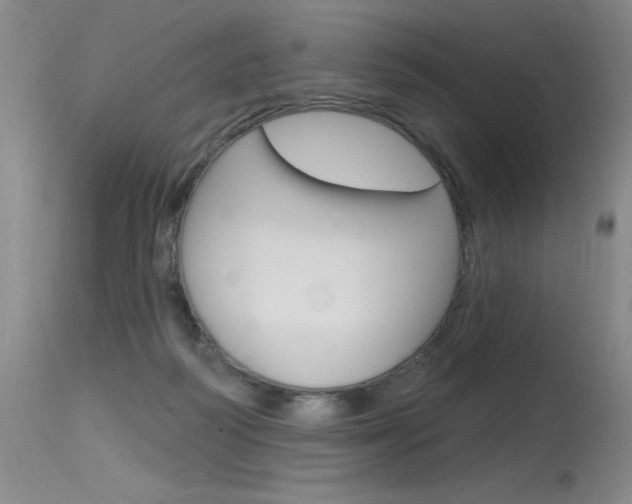 X0000115730218200911121132
