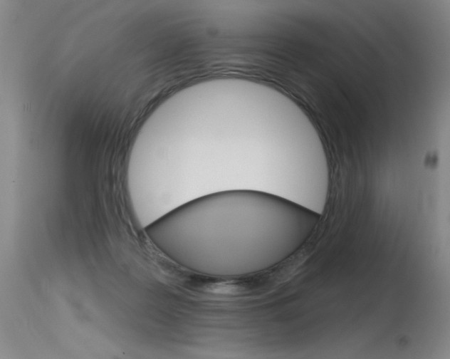 X0000115730219200911121132