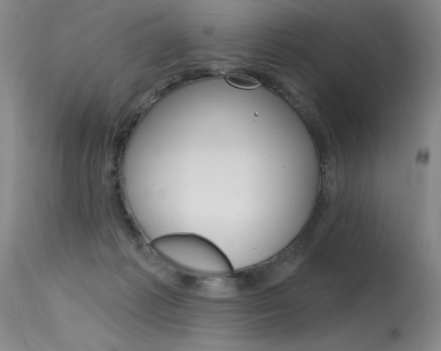 X0000115730221200911121132