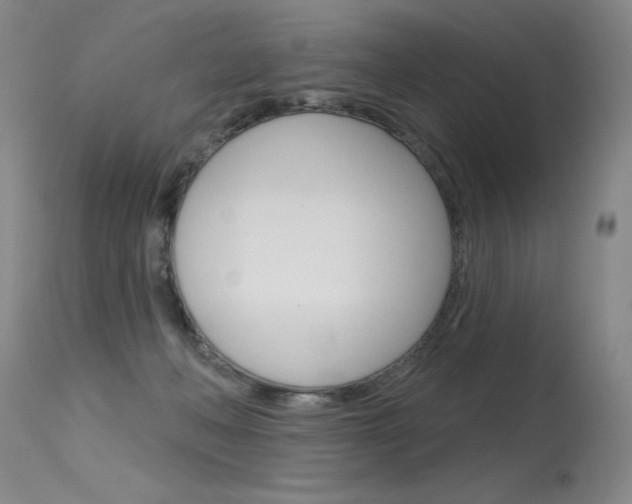 X0000115730222200911121132