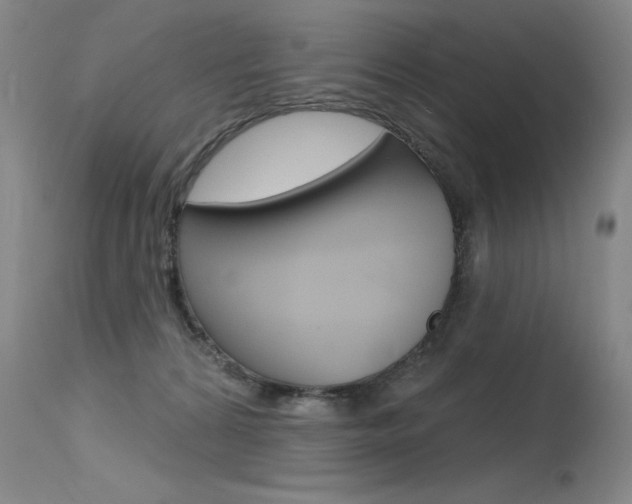 X0000115730224200911121132