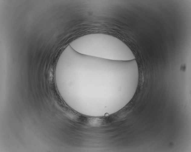 X0000115730226200911121132