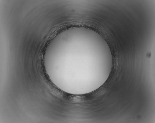 X0000115730229200911121132