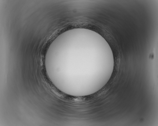 X0000115730232200911121132