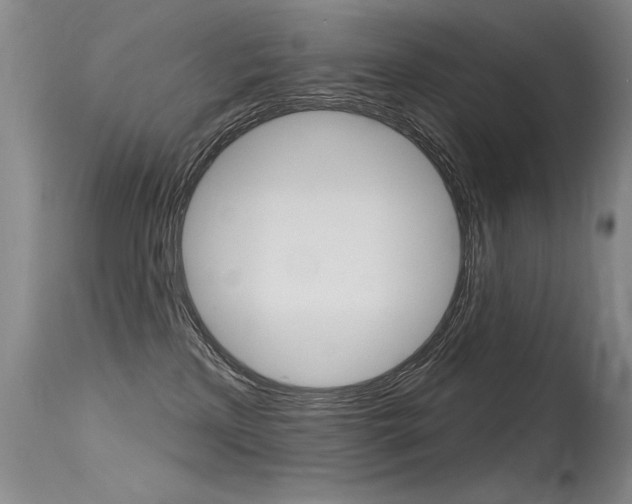 X0000115730233200911121132