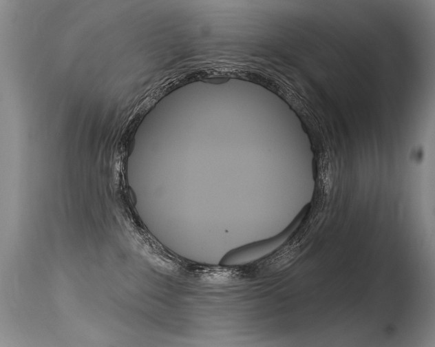 X0000115730235200911121132