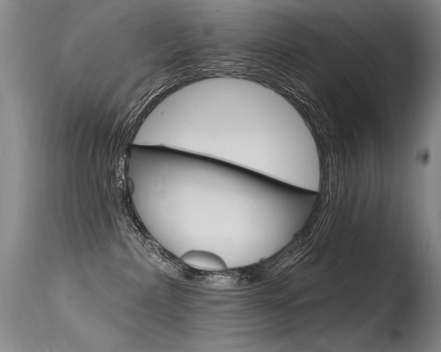 X0000115730236200911121132