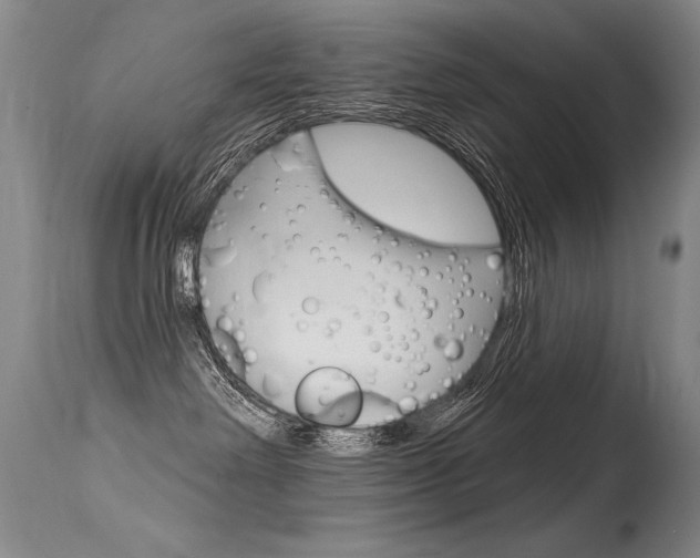 X0000115730238200911121132