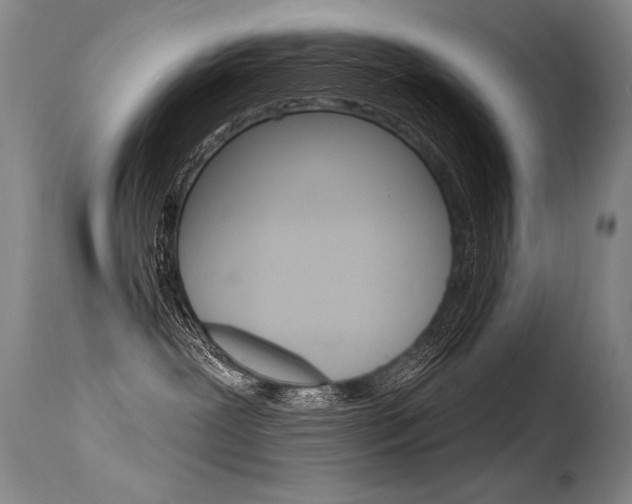 X0000115730239200911121132