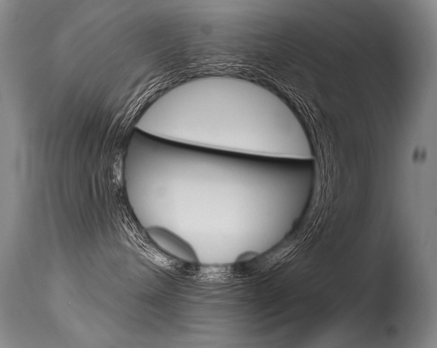 X0000115730240200911121132