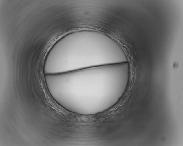 X0000115730241200911121132