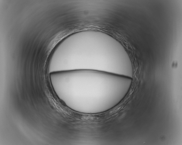 X0000115730242200911121132