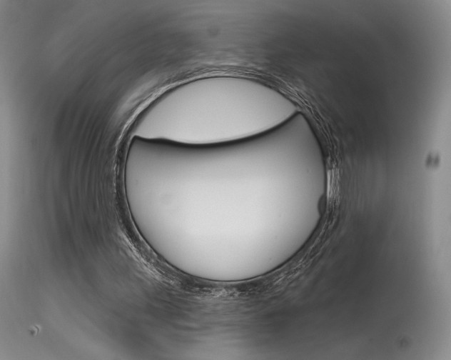 X0000115730243200911121132