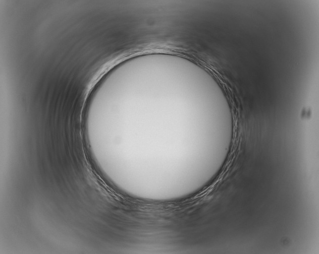 X0000115730244200911121132