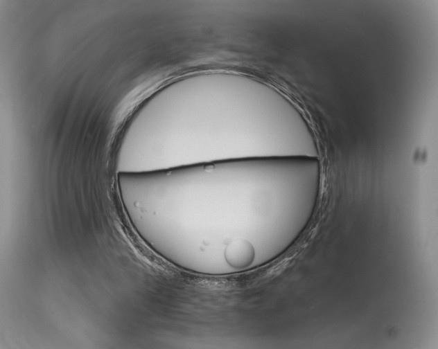 X0000115730245200911121132