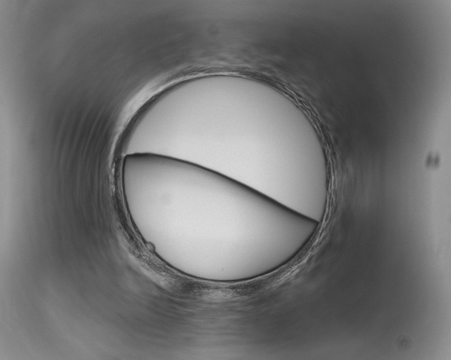 X0000115730246200911121132