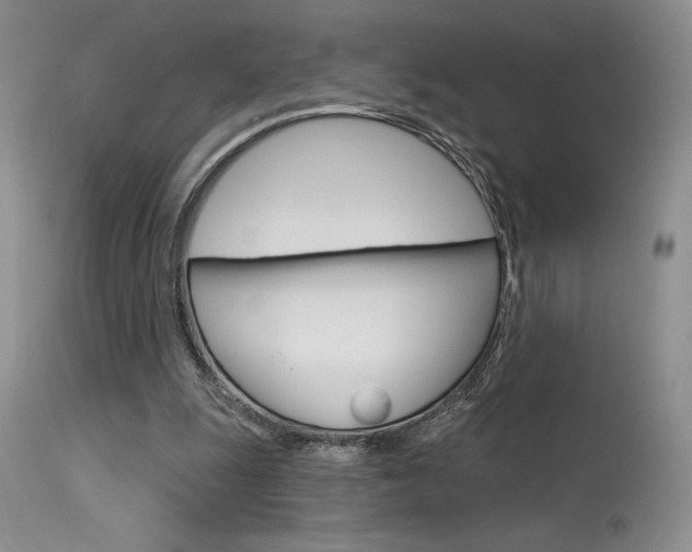 X0000115730247200911121132