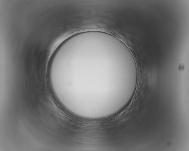 X0000115730248200911121132