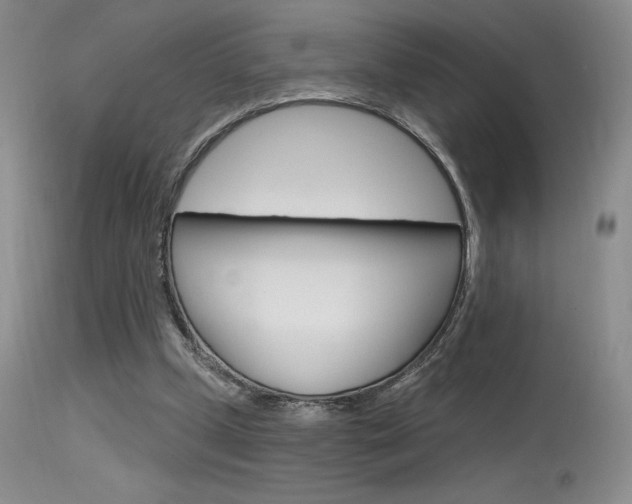 X0000115730249200911121132