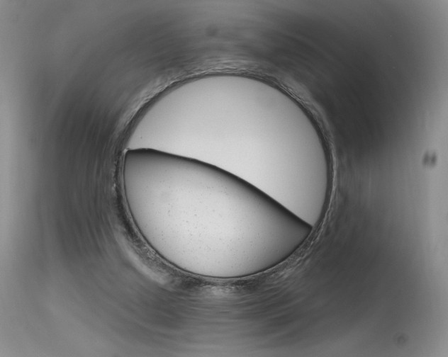 X0000115730250200911121132