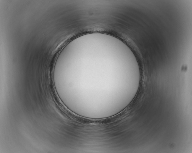X0000115730251200911121132