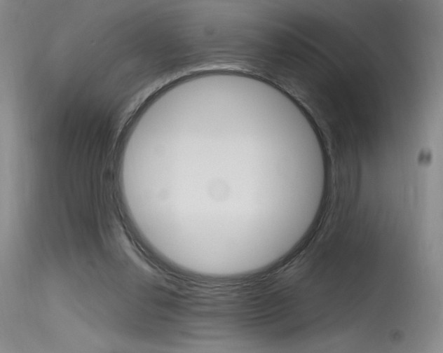 X0000115730252200911121132