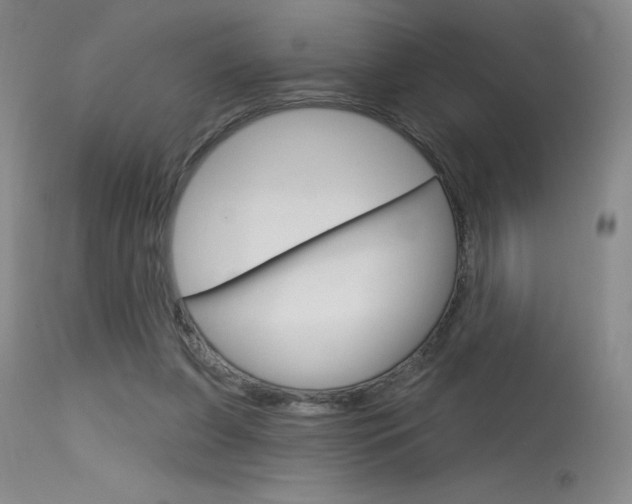 X0000115730255200911121132