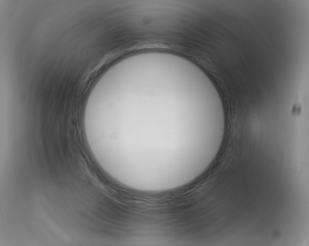 X0000115730256200911121132
