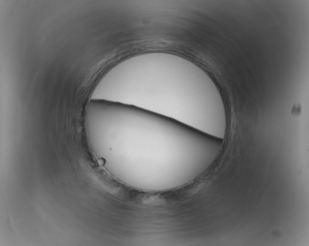X0000115730258200911121132