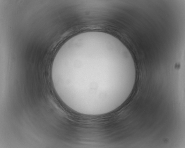 X0000115730260200911121132