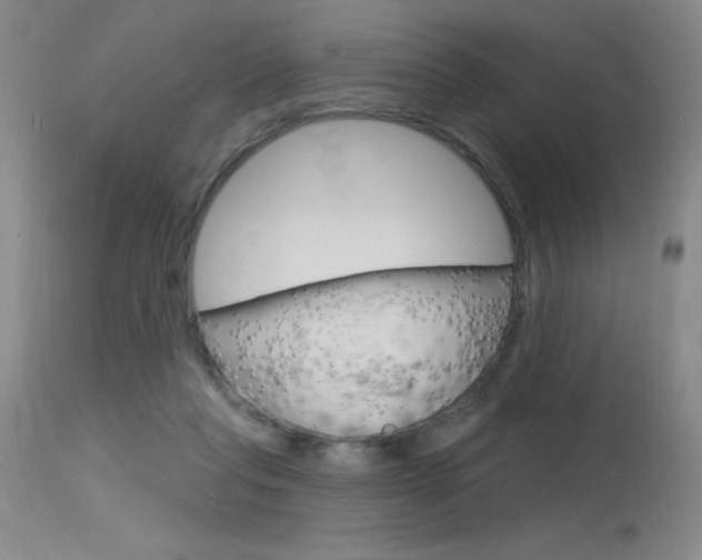 X0000115730261200911121132