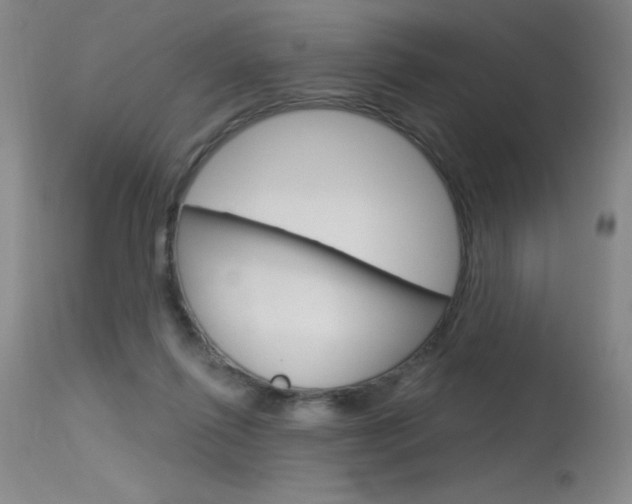 X0000115730262200911121132