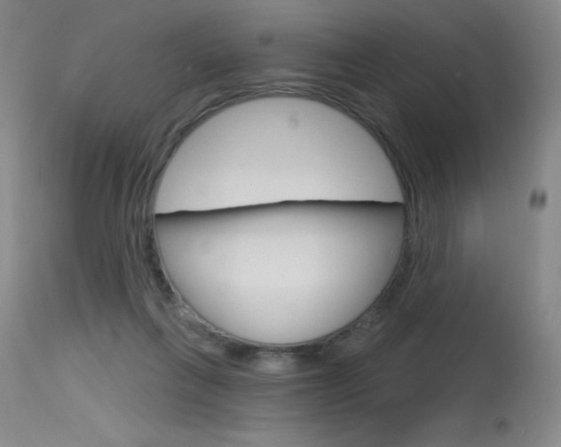 X0000115730263200911121132