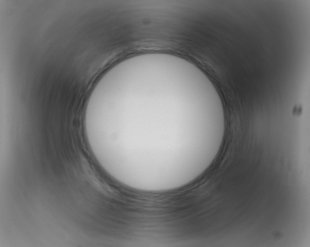 X0000115730264200911121132