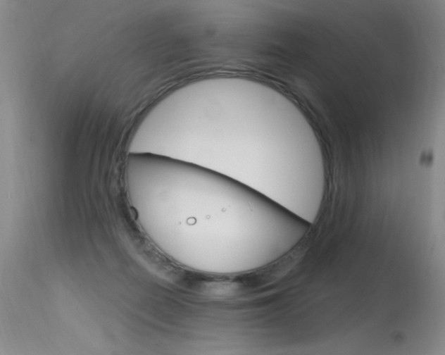 X0000115730266200911121132