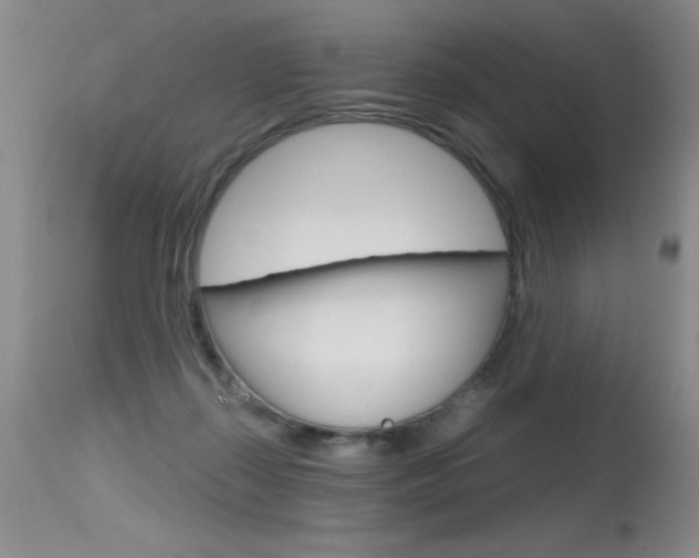 X0000115730267200911121132