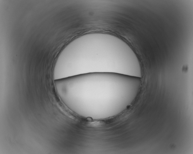 X0000115730269200911121132