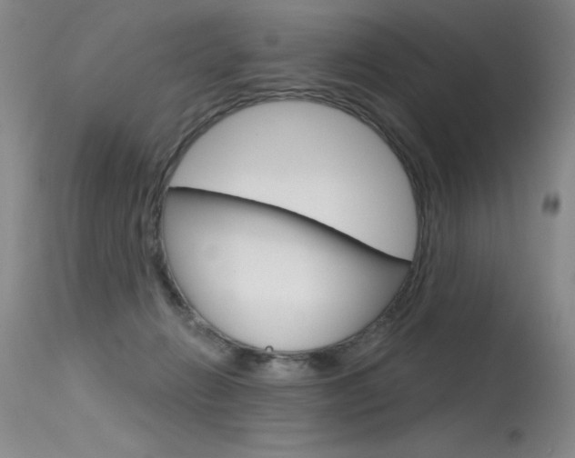 X0000115730270200911121132